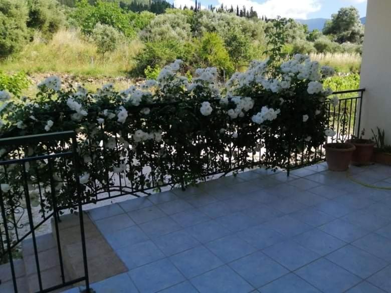 Rosegarden Villa Sami  Exterior foto