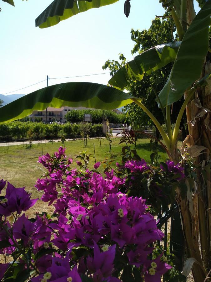 Rosegarden Villa Sami  Exterior foto